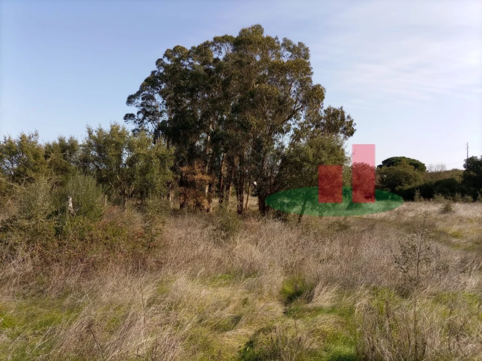 Terreno para Venda em Almoster Foto 14