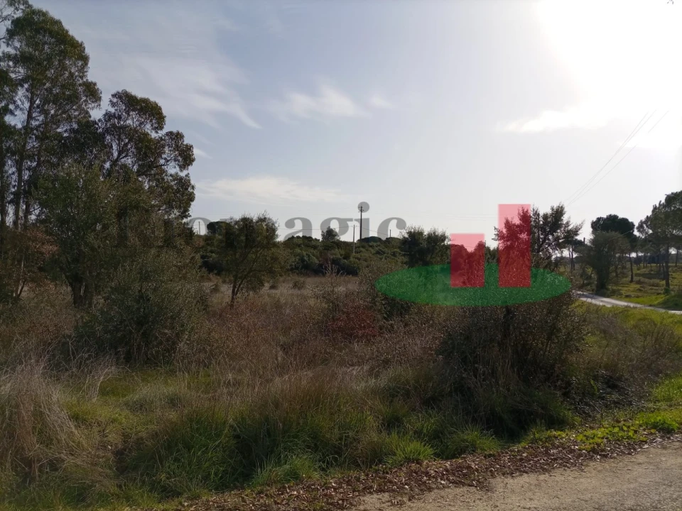Terreno para Venda em Almoster Foto 15