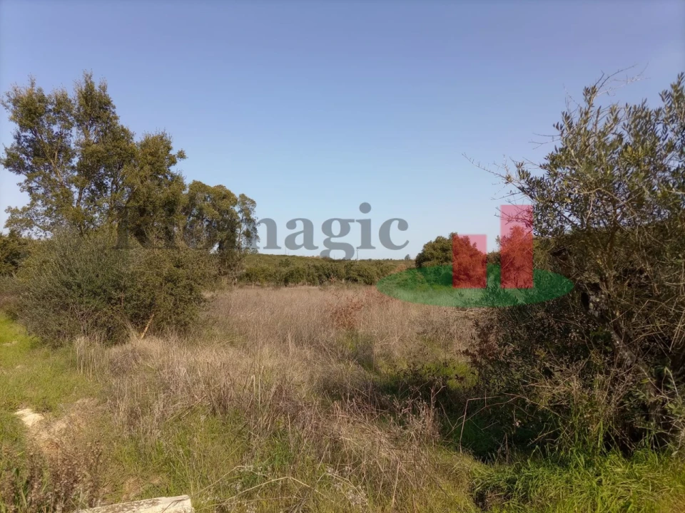 Terreno para Venda em Almoster Foto 17