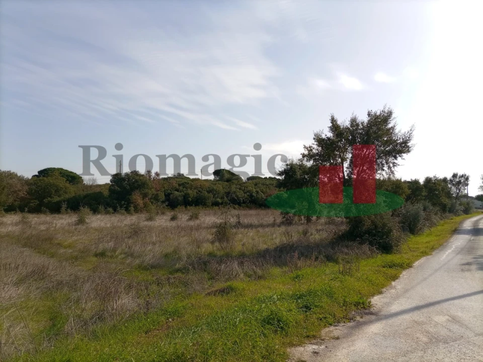 Terreno para Venda em Almoster Foto 21