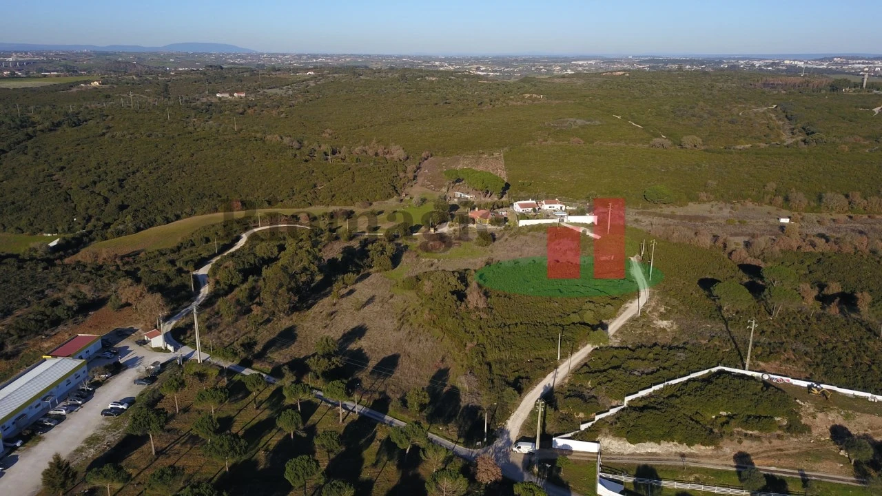 Terreno para Venda em Almoster Foto 27