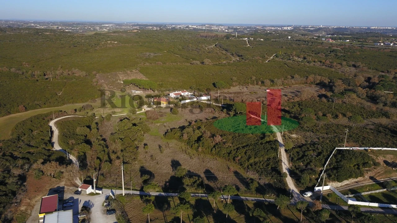 Terreno para Venda em Almoster Foto 5