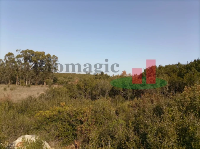 Terreno para Venda em Almoster Foto 10