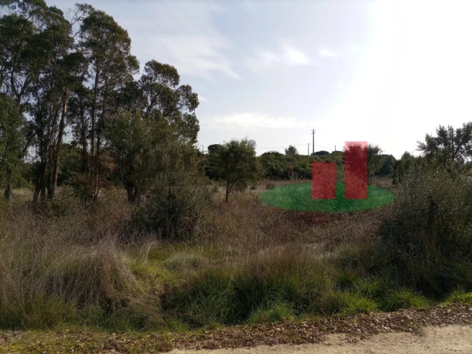 Terreno para Venda em Almoster Foto 16