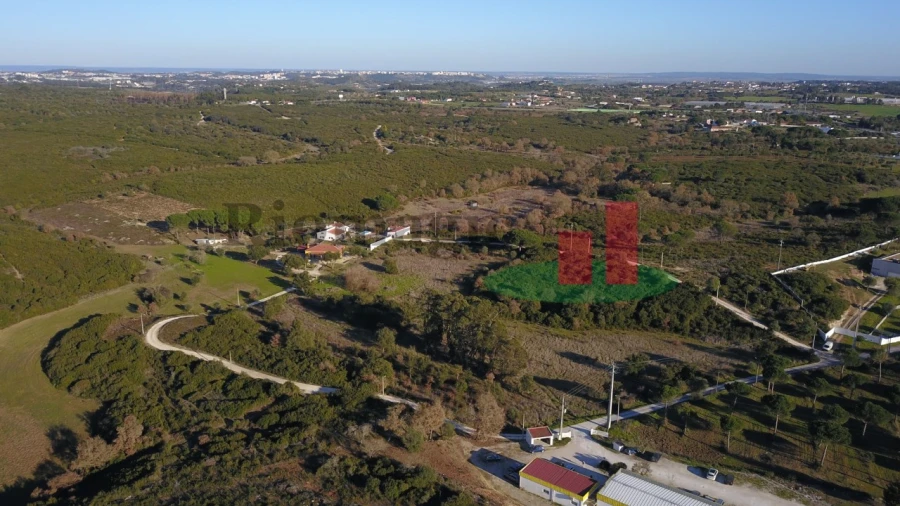 Terreno para Venda em Almoster Foto 8