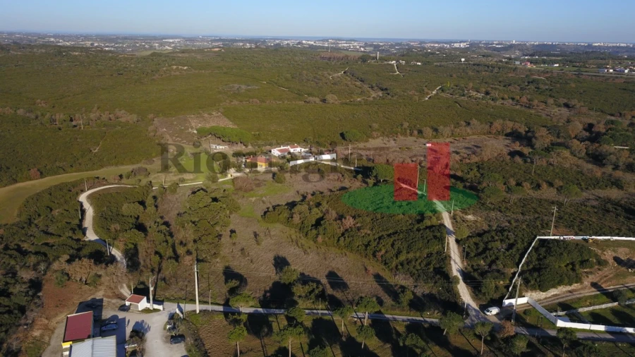 Terreno para Venda em Almoster Foto 5