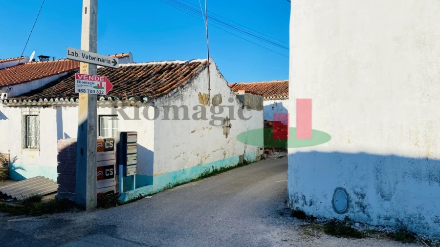 Terreno para Venda em Almoster Foto 2