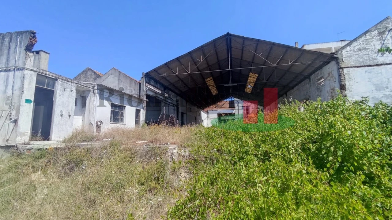 Terreno para Venda em Alpiarça Foto 3