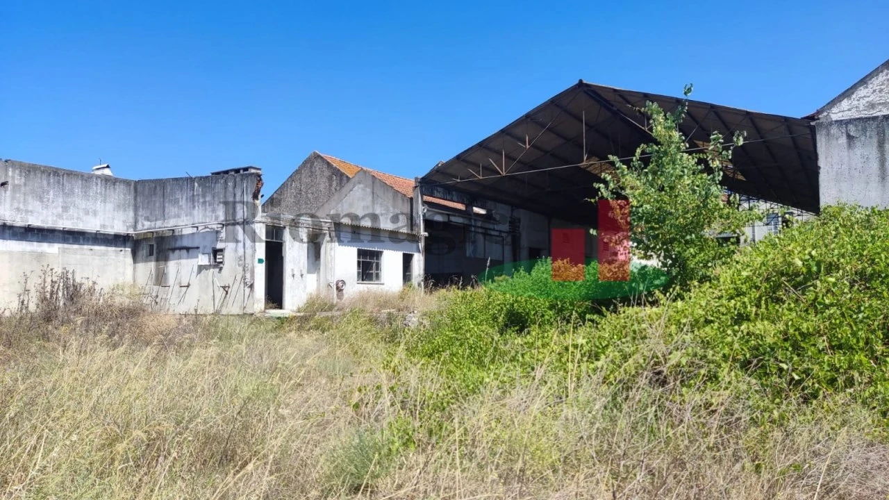 Terreno para Venda em Alpiarça Foto 5