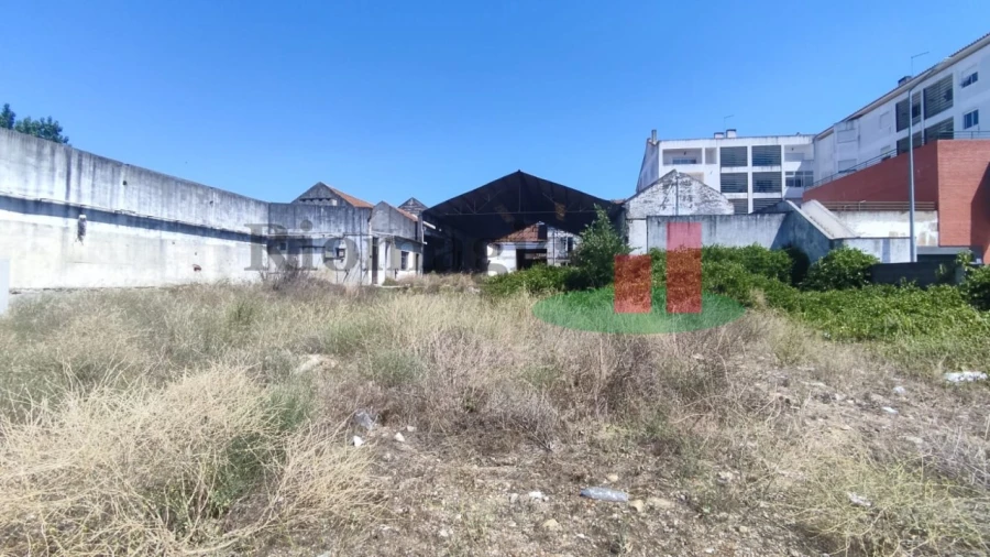 Terreno para Venda em Alpiarça Foto 6