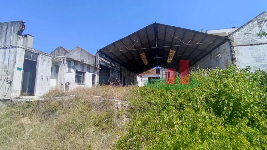 Terreno para Venda em Alpiarça Foto 3