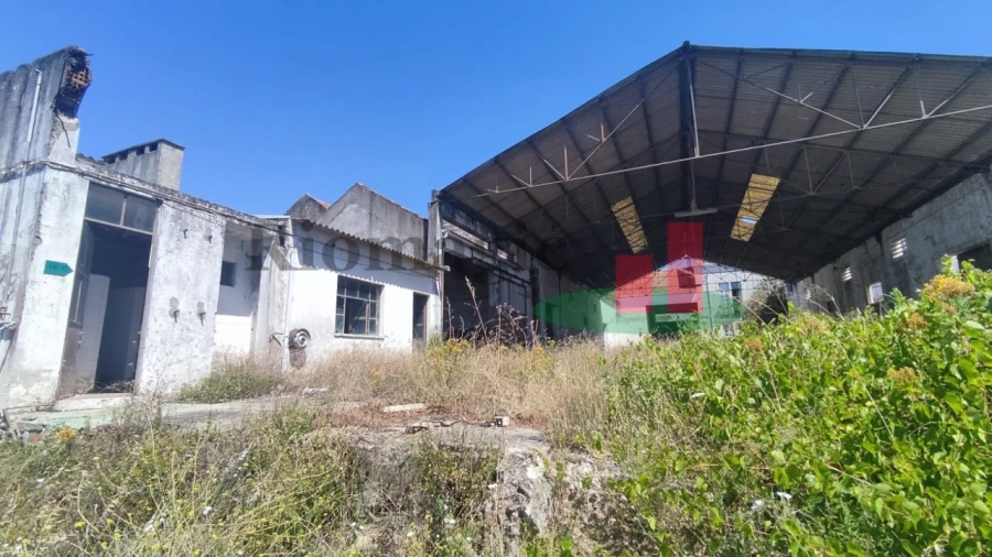 Terreno para Venda em Alpiarça Foto 7