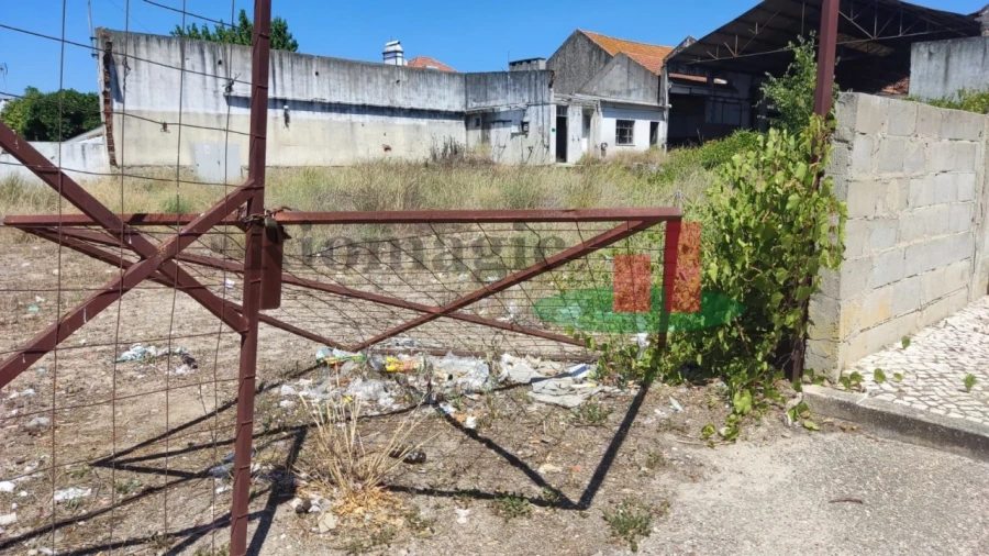 Terreno para Venda em Alpiarça Foto 8