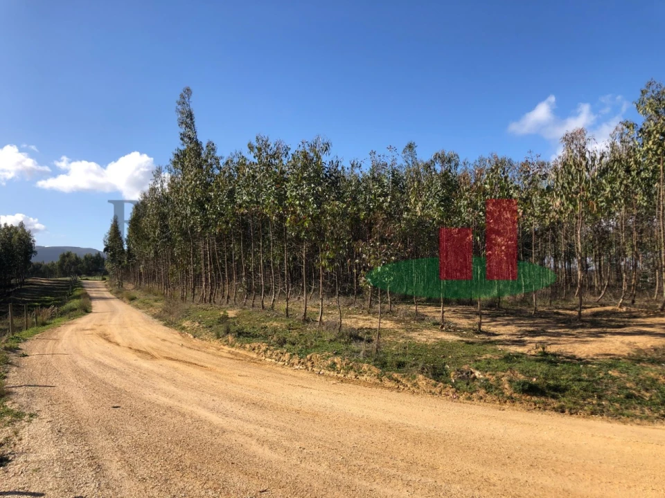 Terreno para Venda em Alcoentre Foto 4
