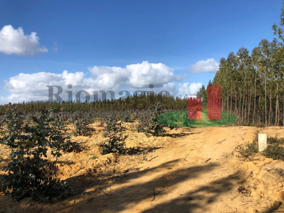 Terreno para Venda em Alcoentre Foto 2