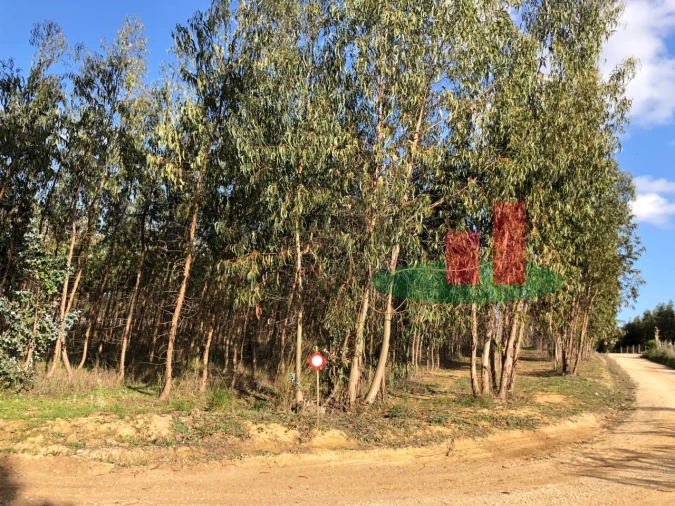 Terreno para Venda em Alcoentre Foto 7