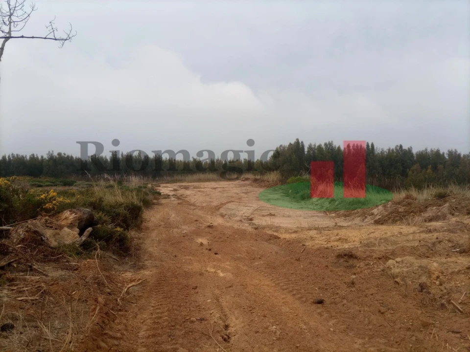 Terreno para Venda em Caldas da Rainha - Santo Onofre e Serra do Bouro Foto 1