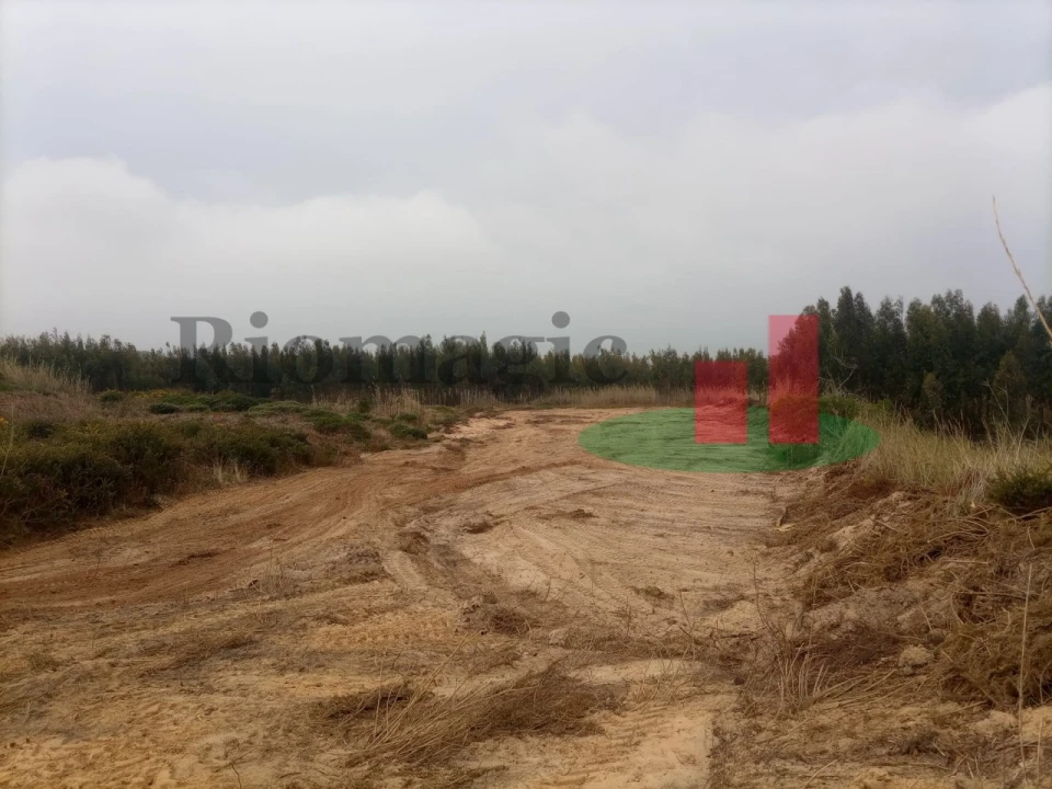 Terreno para Venda em Caldas da Rainha - Santo Onofre e Serra do Bouro Foto 2