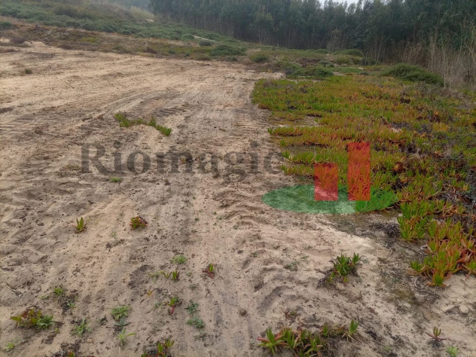 Terreno para Venda em Caldas da Rainha - Santo Onofre e Serra do Bouro Foto 8