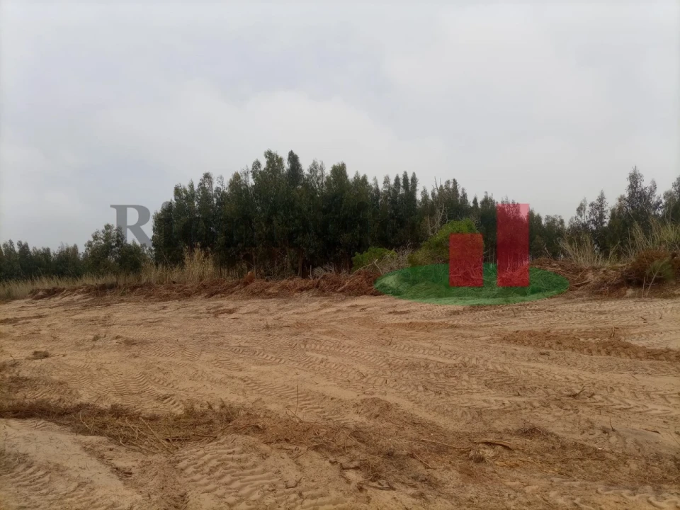 Terreno para Venda em Caldas da Rainha - Santo Onofre e Serra do Bouro Foto 11