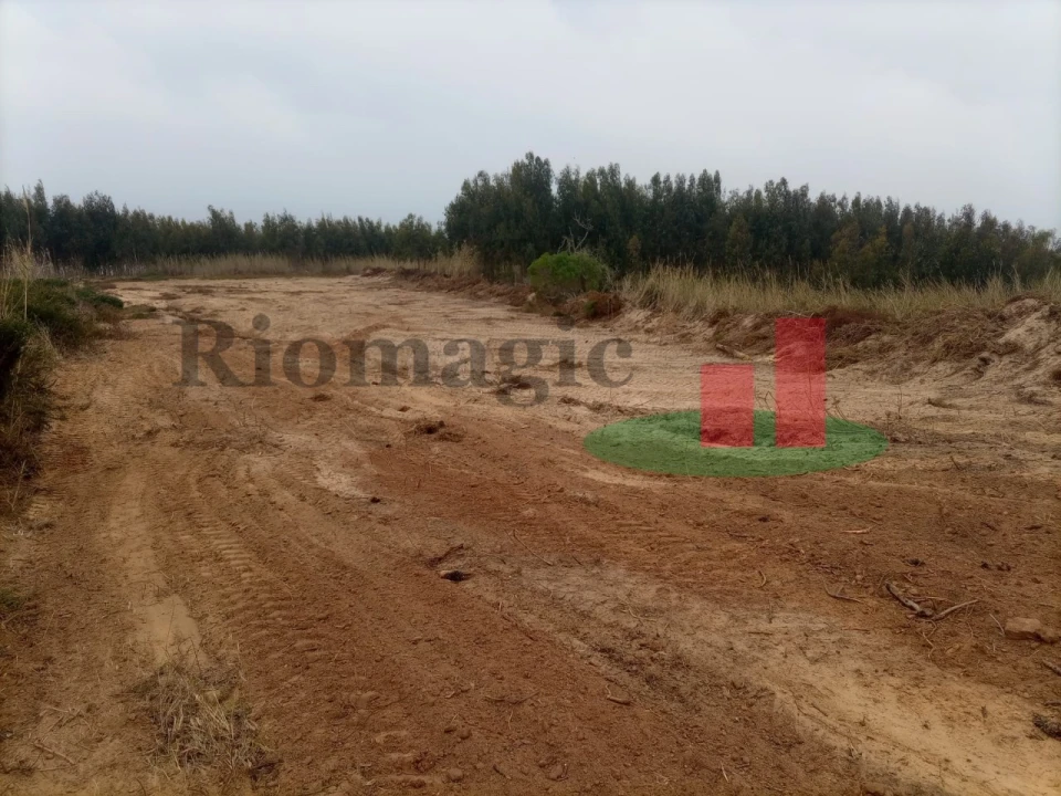Terreno para Venda em Caldas da Rainha - Santo Onofre e Serra do Bouro Foto 14