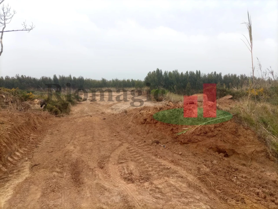 Terreno para Venda em Caldas da Rainha - Santo Onofre e Serra do Bouro Foto 4