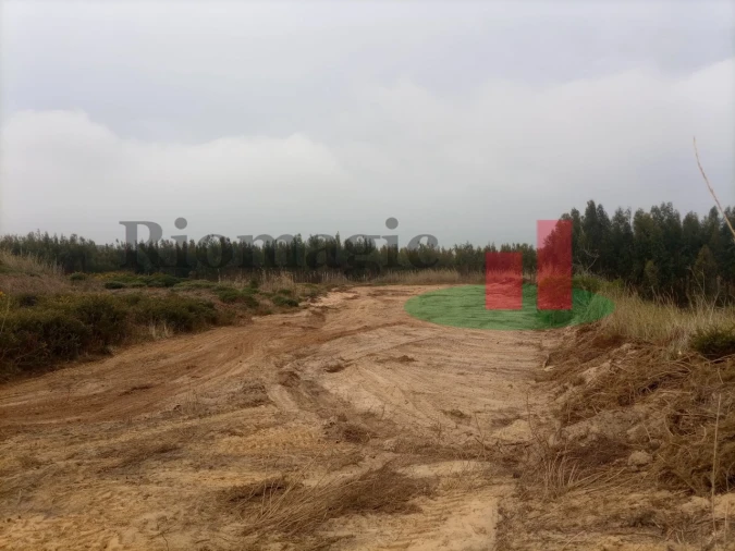 Terreno para Venda em Caldas da Rainha - Santo Onofre e Serra do Bouro Foto 2