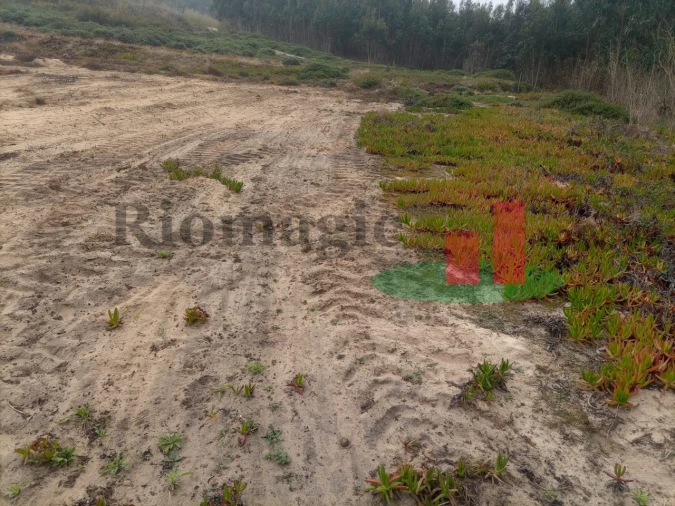 Terreno para Venda em Caldas da Rainha - Santo Onofre e Serra do Bouro Foto 8