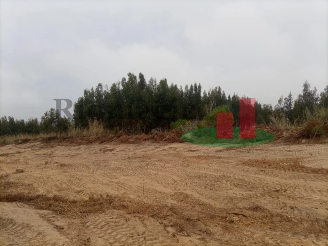 Terreno para Venda em Caldas da Rainha - Santo Onofre e Serra do Bouro Foto 11