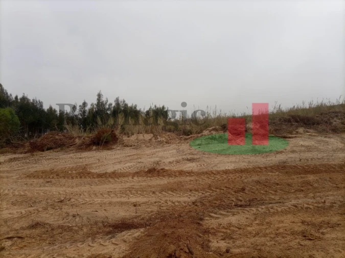 Terreno para Venda em Caldas da Rainha - Santo Onofre e Serra do Bouro Foto 13