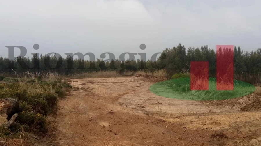 Terreno Agricola ou Rústico para Venda em Caldas da Rainha - Santo Onofre e Serra do Bouro