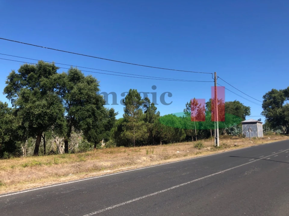 Terreno para Venda em Asseiceira Foto 6