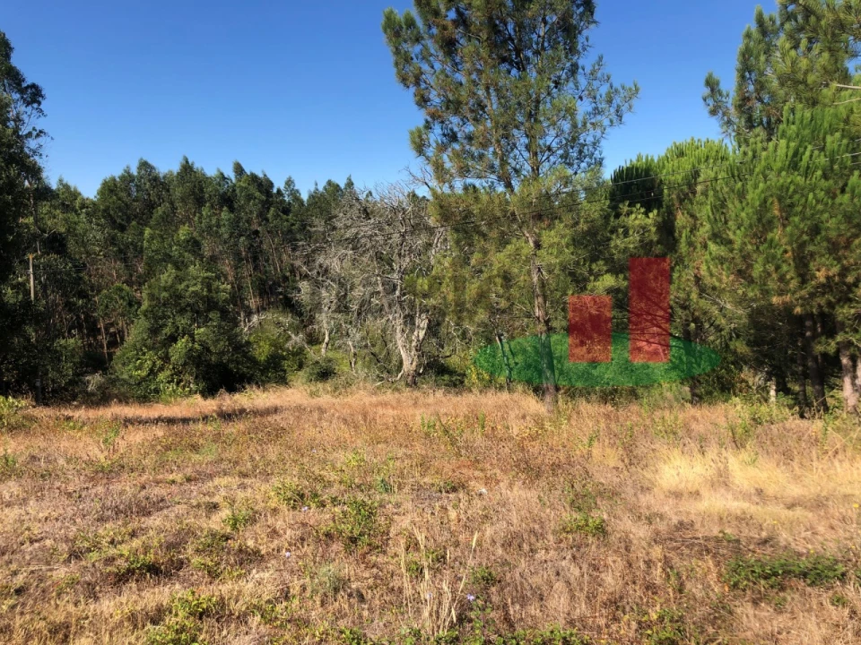 Terreno para Venda em Asseiceira Foto 5