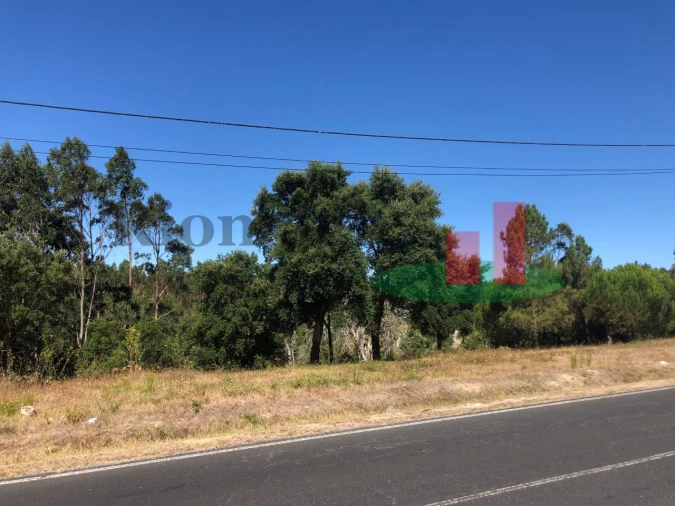 Terreno para Venda em Asseiceira Foto 11