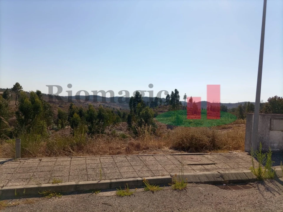 Terreno para Venda em Mação, Penhascoso e Aboboreira Foto 1