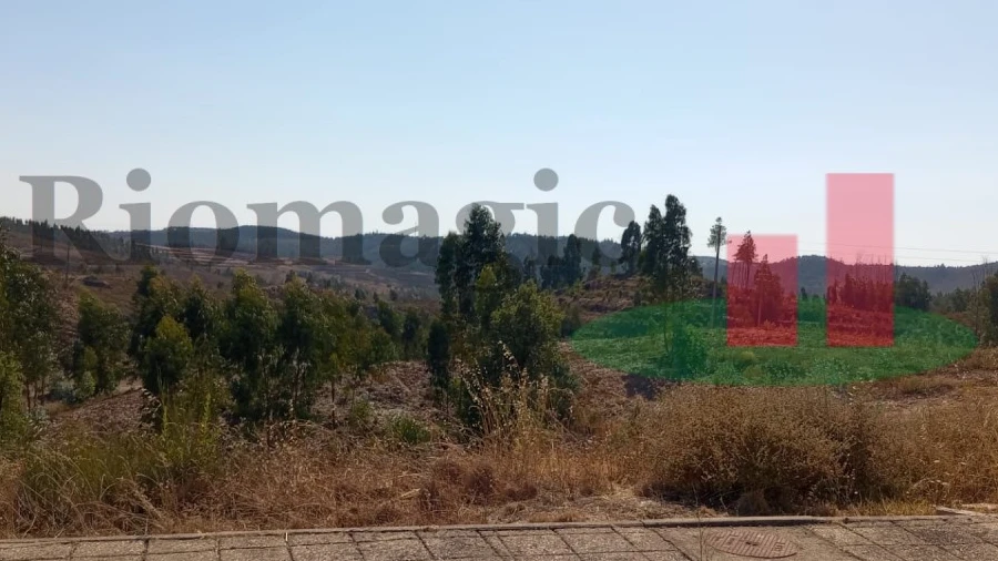 Terreno para Venda em Mação, Penhascoso e Aboboreira