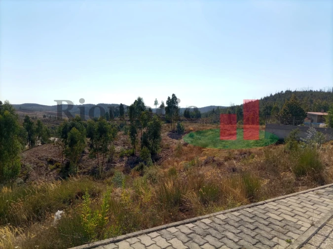 Terreno para Venda em Mação, Penhascoso e Aboboreira Foto 2