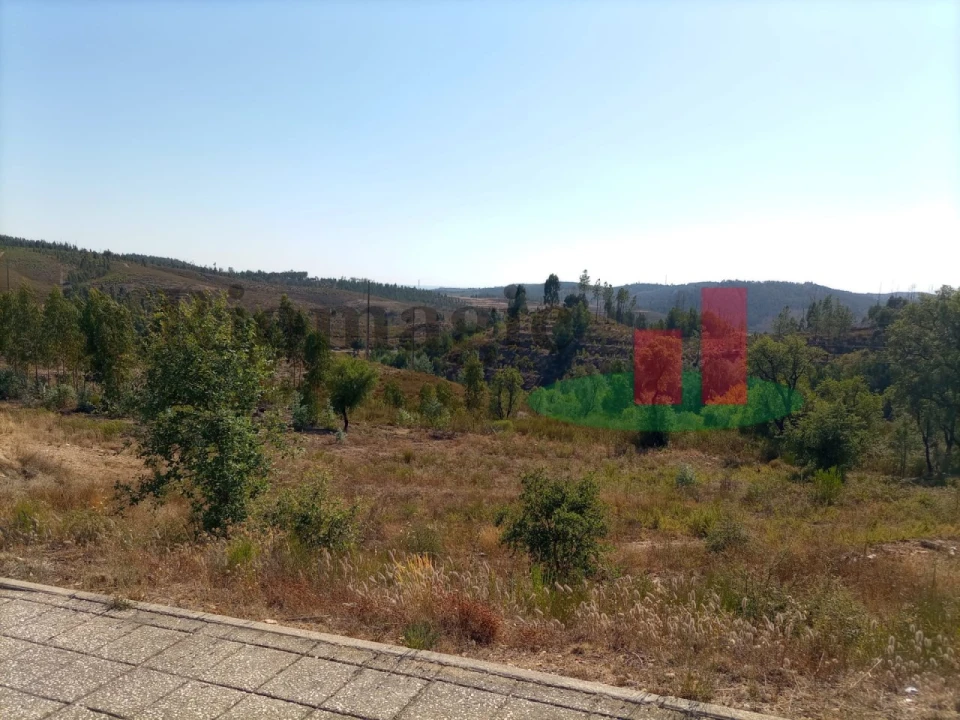 Terreno para Venda em Mação, Penhascoso e Aboboreira Foto 1