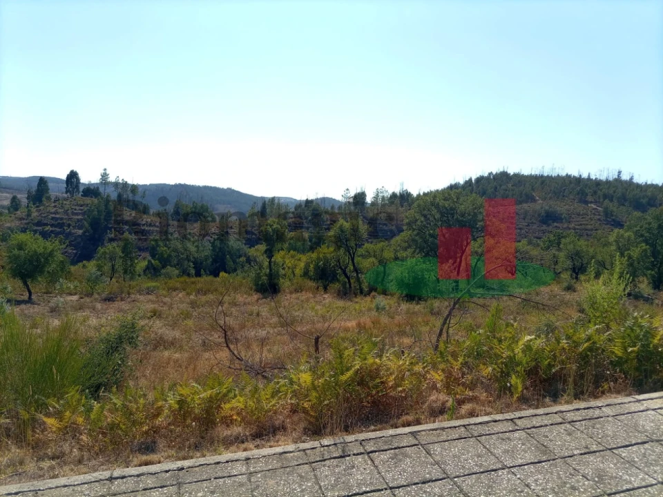 Terreno para Venda em Mação, Penhascoso e Aboboreira Foto 2