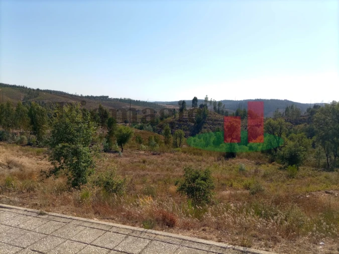 Terreno para Venda em Mação, Penhascoso e Aboboreira Foto 1