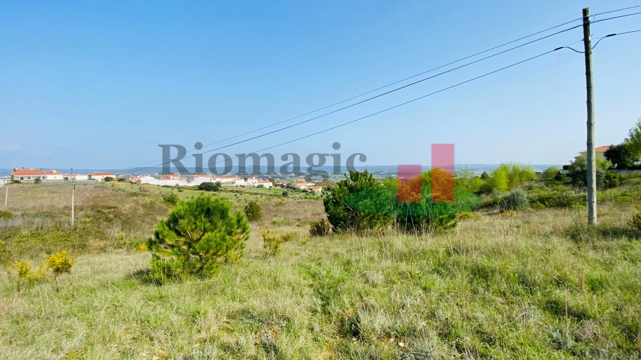 Terreno para Venda em São João Baptista e Santa Maria dos Olivais Foto 3