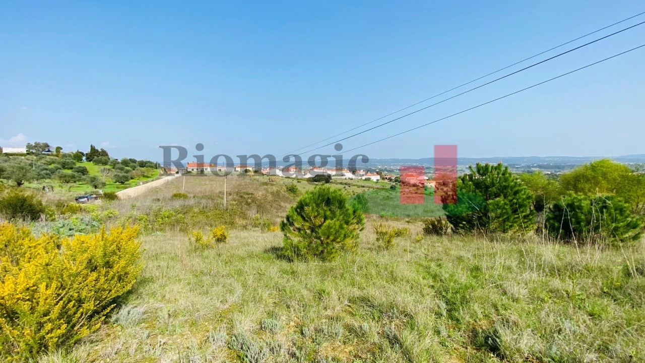Terreno para Venda em São João Baptista e Santa Maria dos Olivais Foto 2