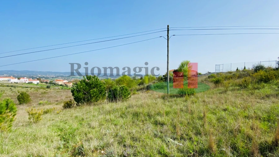 Terreno para Venda em São João Baptista e Santa Maria dos Olivais Foto 6