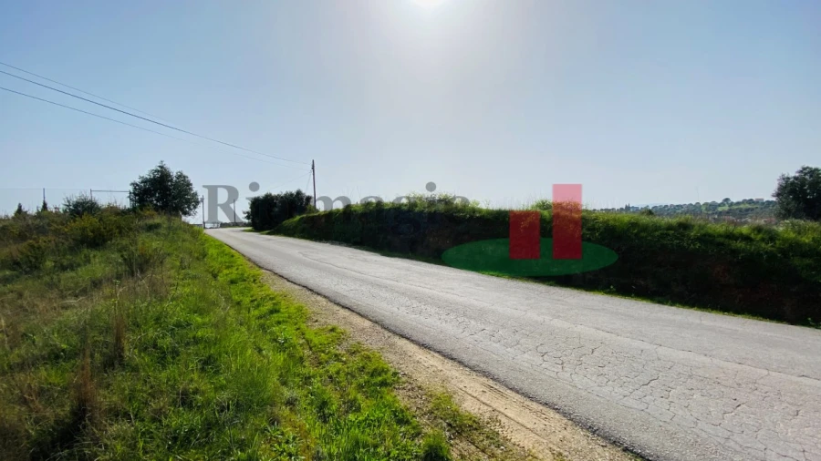 Terreno para Venda em São João Baptista e Santa Maria dos Olivais Foto 7