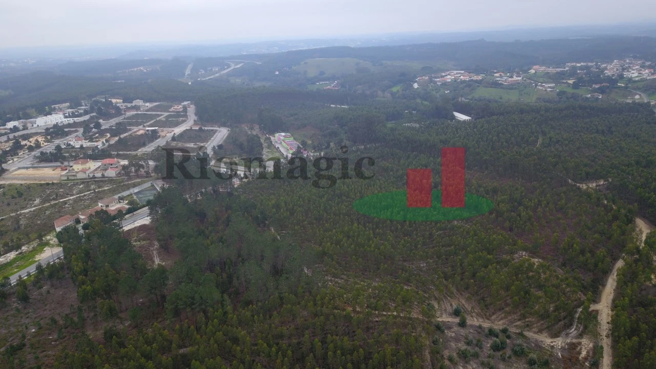 Terreno para Venda em Rio Maior Foto 11