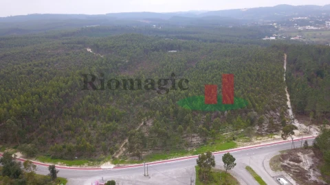Terreno para Venda em Rio Maior