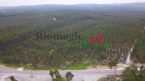 Terreno para Venda em Rio Maior