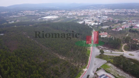 Terreno para Venda em Rio Maior