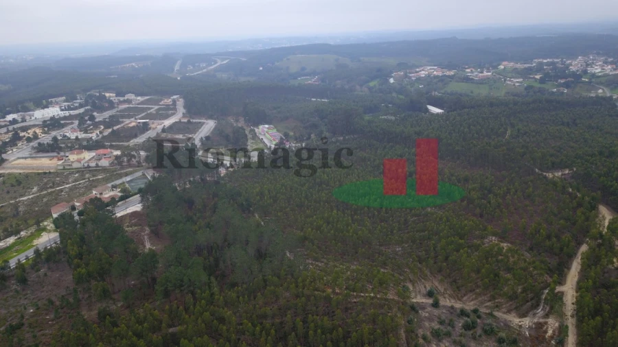 Terreno para Venda em Rio Maior Foto 11