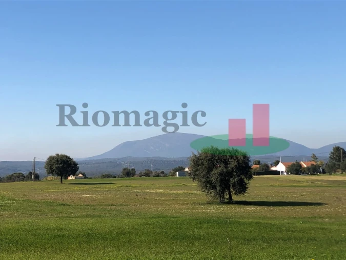 Terreno para Venda em Aveiras de Cima Foto 4